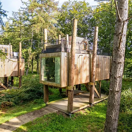 Modern With Sauna & Pool Holiday home *
