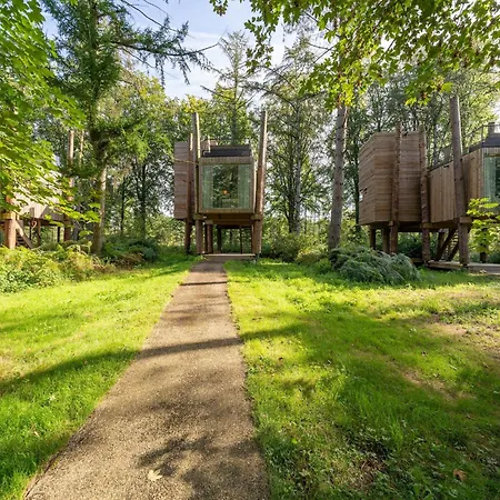 Modern With Sauna & Pool